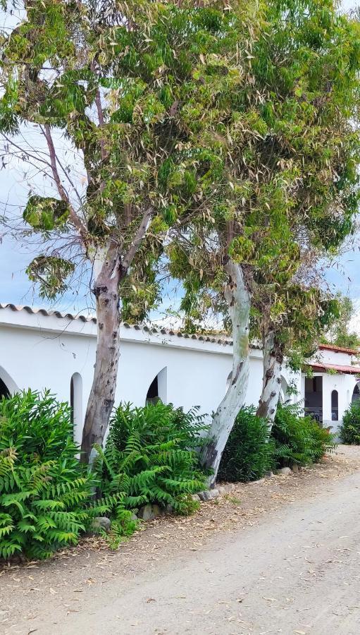 Camping Village Torrenova Cirò Marina Exterior foto